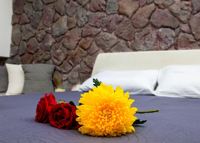 بلاستيراس رومز 4*