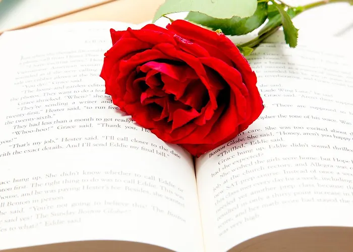 بلاستيراس رومز